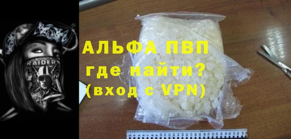 прущие грибы Протвино